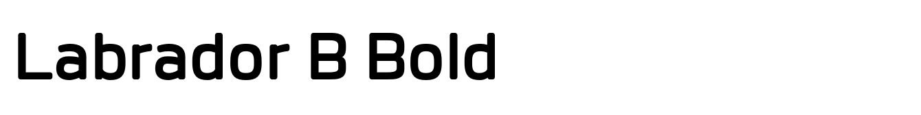 Labrador B Bold